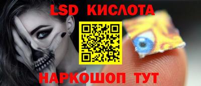 прущие грибы Кунгур