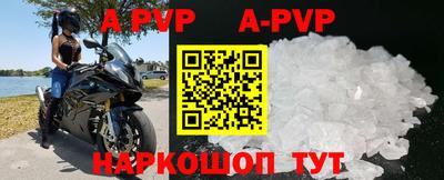прущие грибы Кунгур