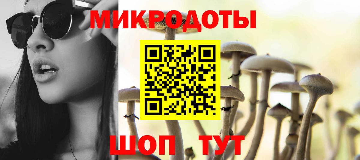 Галлюциногенные грибы Magic Shrooms Зеленодольск